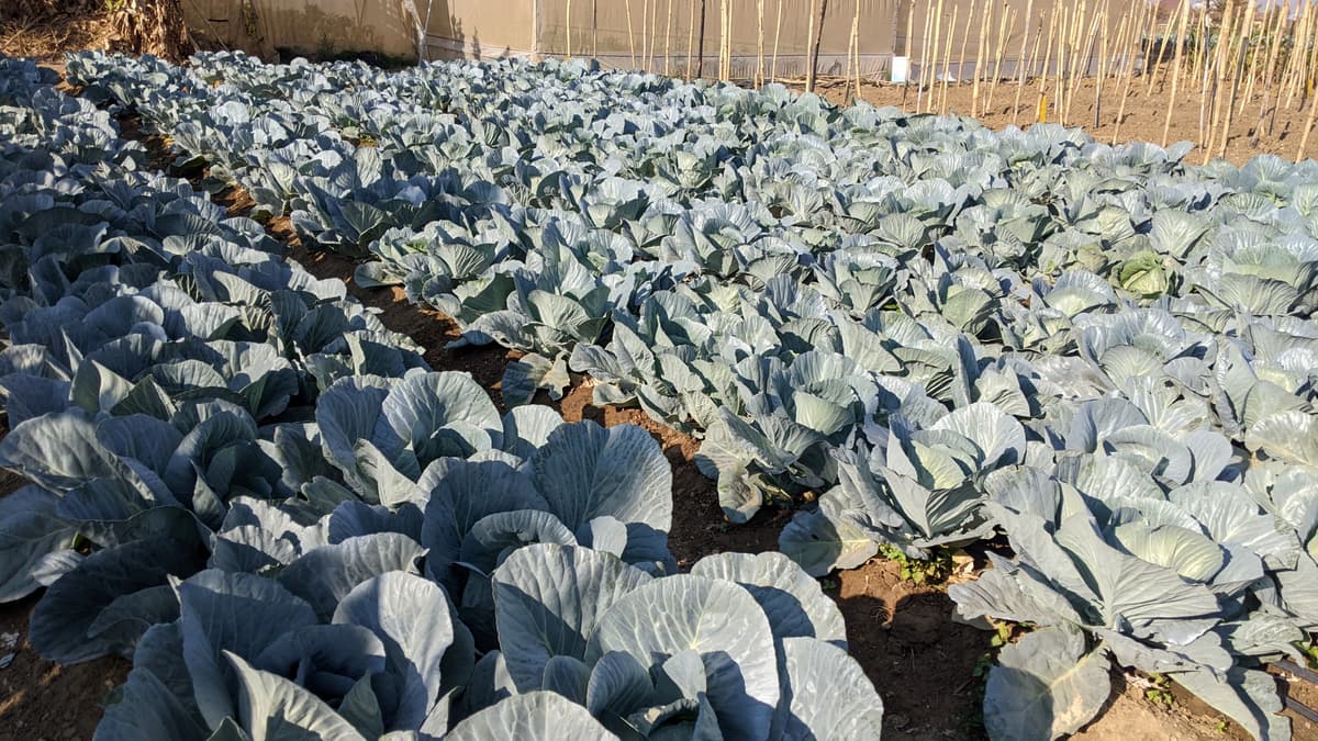 Modern farming machinery