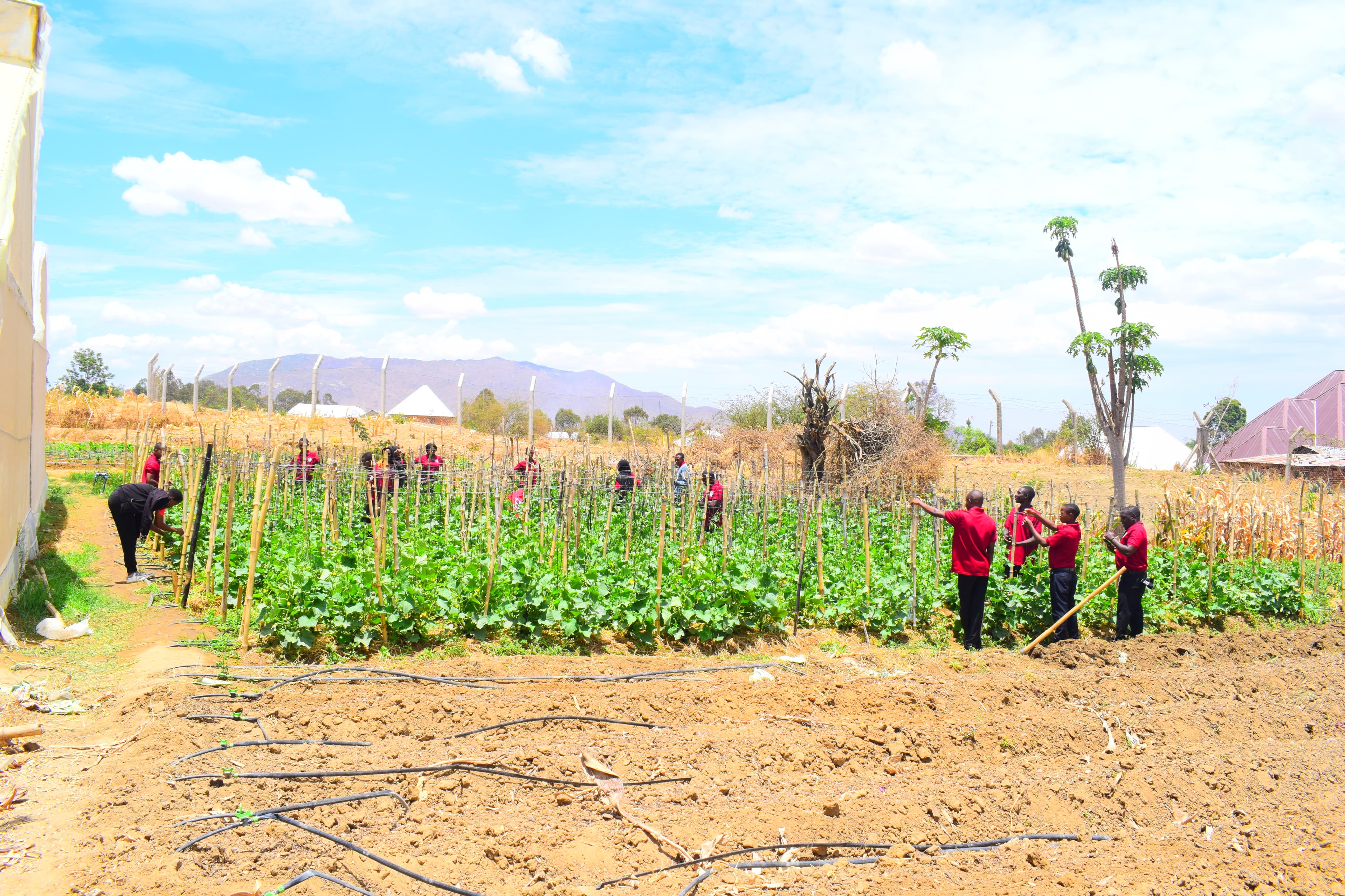 Crop Production & Soil Management